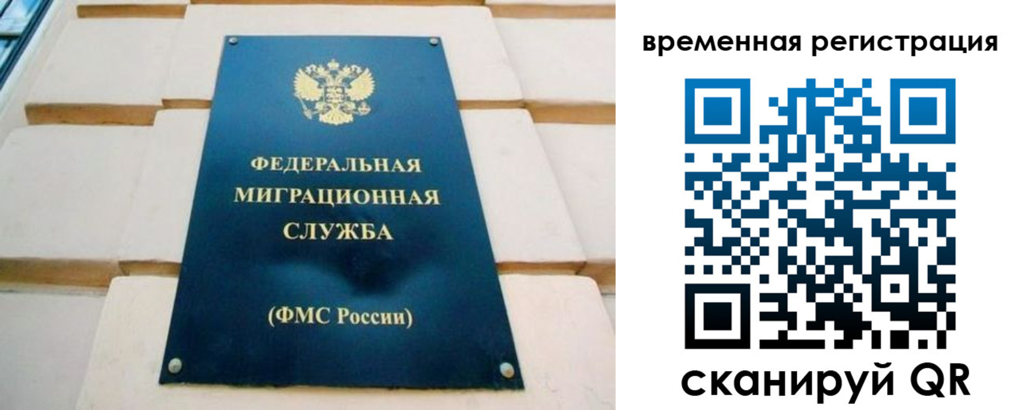 прописка гарантия в Брянской области